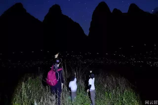 救援小棕兔