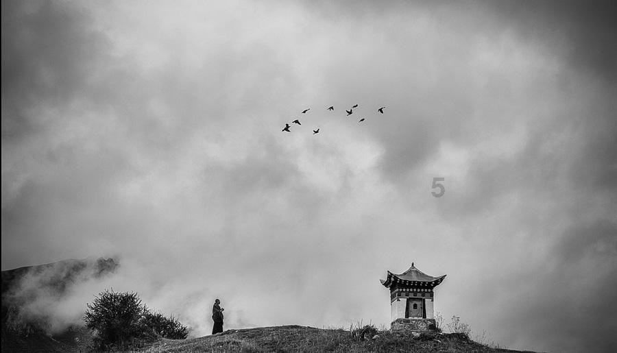 虫虫助手下载
