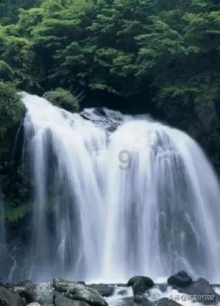 薄樱鬼：风之章